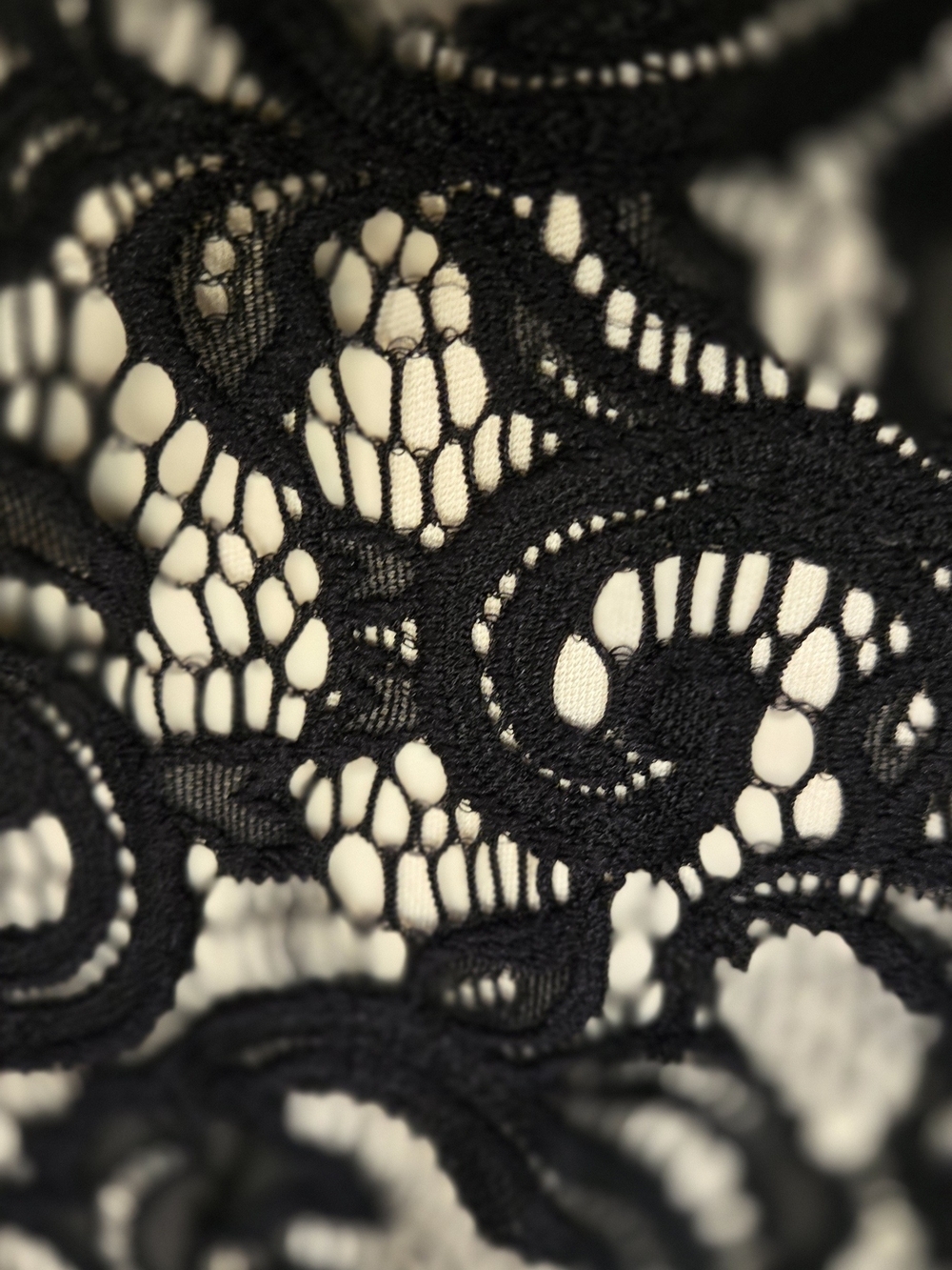 Libian Black & Cream Swirl Lace Skater Dress - Size 1X - Picture 5 of 6